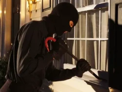 Bobol Rumah Guru Demi Sabu, Pemuda Lubuklinggau Diciduk Polisi di Kebun